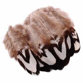 50 Pcs DIY Craft Brown Artificial Pheasant Feathers Jewelry Accessories Home Decor, 1-3 Inches